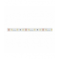 Taśma 300 SMD 12V 6500K 4,8W IP67 LED line 241475