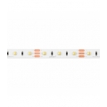 Taśma 300 SMD 12V 3000-6500K 9,6W MULTIWHITE LED line 243714