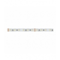 Taśma 300 SMD 12V 6500K RGBW 19,2W LED line 245657