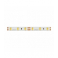 Taśma 300 SMD 12V 4000K 18W CRI95 LED line 246739