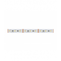 Taśma 300 SMD 12V 4000K RGBW 19,2W 30m LED line 478689 LED line 478689